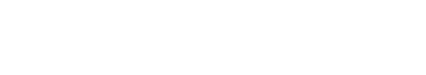 FLYZEO TRAVEL Logo